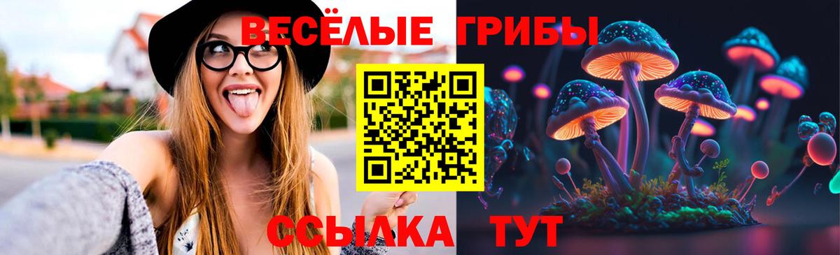 Галлюциногенные грибы мицелий Сальск
